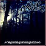 A Chronicle of Paradox Dreams